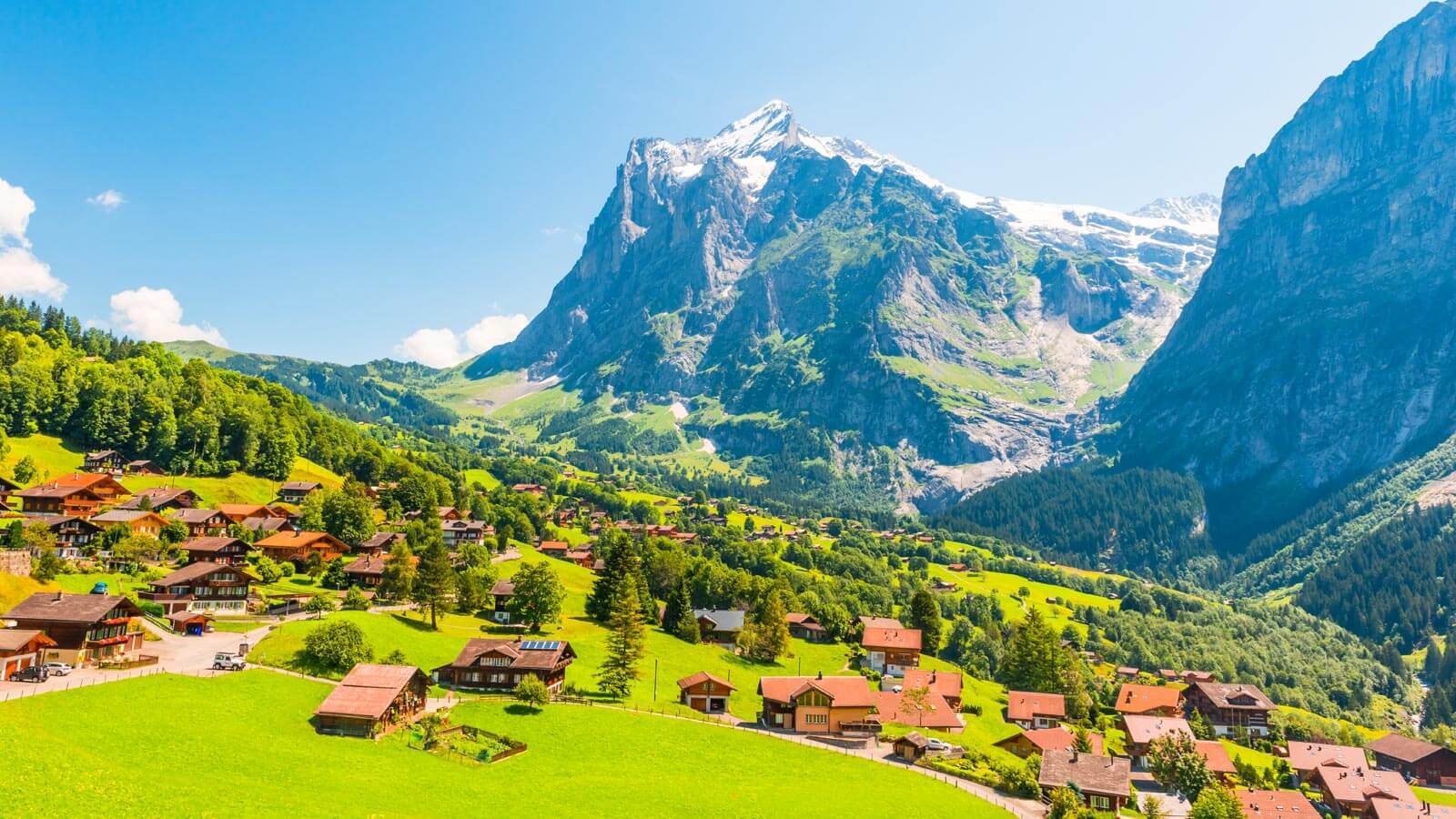 Expert Daily Removals to Switzerland | France Removals